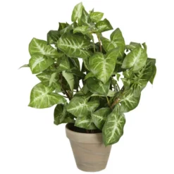 Mica® Decorations Kunstpflanze, Fittonia, Grün