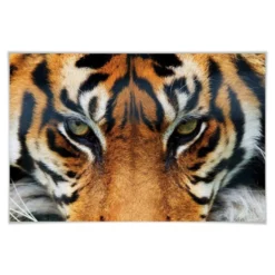 WIZARD+GENIUS XXL Poster »XXL Poster«, BxH: 175 X 115 Cm, Bunt