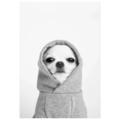 MySPOTTI Kunstdruck »Pacco«, BxH: 80 X 120 Cm