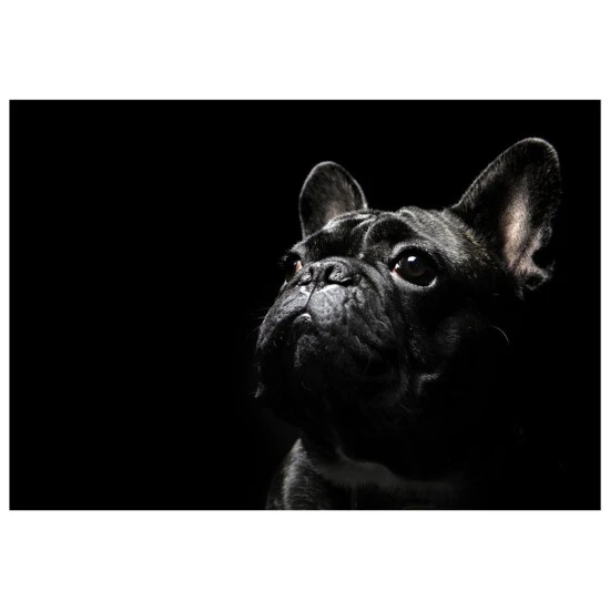 MySPOTTI Kunstdruck »Aviv«, BxH: 80 X 120 Cm 3 MySPOTTI Kunstdruck »Aviv«, BxH: 80 X 120 Cm