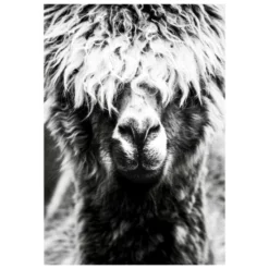 MySPOTTI Kunstdruck »Leonor«, BxH: 41 X 59 Cm