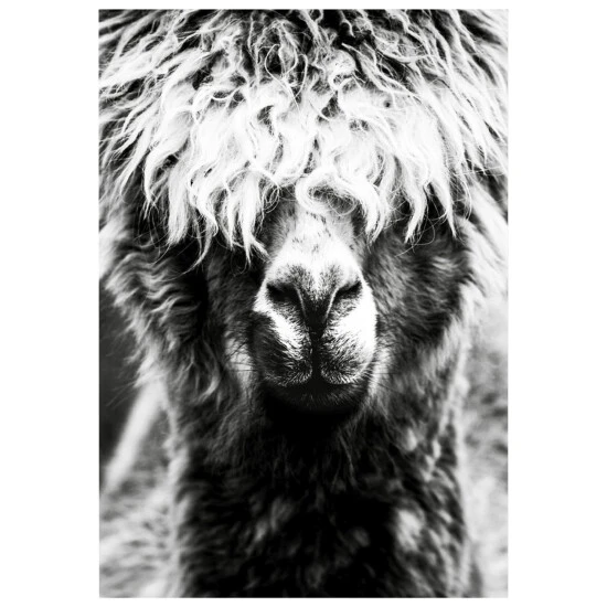 MySPOTTI Kunstdruck »Leonor«, BxH: 80 X 120 Cm 3 MySPOTTI Kunstdruck »Leonor«, BxH: 80 X 120 Cm