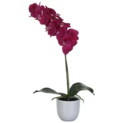 Mica® Decorations Kunstpflanze, Phalaenopsis Orchidee, Violett -Wohnen Wohndeko Verkäufe unnamed file 138