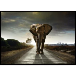 Gerahmtes Bild »Street Elephant«
