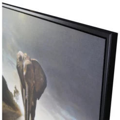 Gerahmtes Bild »Street Elephant« -Wohnen Wohndeko Verkäufe unnamed file 1401