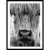 Gerahmtes Bild »Cow Portrait« -Wohnen Wohndeko Verkäufe unnamed file 1406