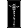 Gerahmtes Bild »Giraffe« -Wohnen Wohndeko Verkäufe unnamed file 1412