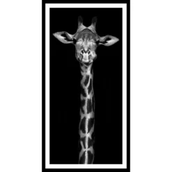 Gerahmtes Bild »Giraffe«