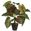 Mica® Decorations Kunstpflanze, Caladium, 1 Stück -Wohnen Wohndeko Verkäufe unnamed file 143