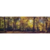 Leinwandbild »CLEO«, BxH: 50 X 150 Cm, Motiv: Autumn Forest -Wohnen Wohndeko Verkäufe unnamed file 1444