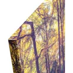 Leinwandbild »CLEO«, BxH: 50 X 150 Cm, Motiv: Autumn Forest -Wohnen Wohndeko Verkäufe unnamed file 1447