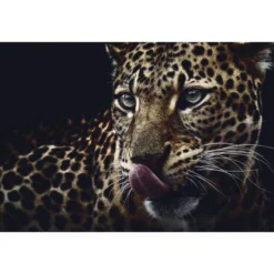 Deko-Panel »JAD«, BxH: 68 X 98 Cm, Motiv: Leo