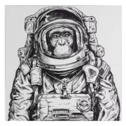 Deko-Panel »ADORA«, BxH: 50 X 50 Cm, Motiv: Space Ape