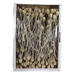 Flowerbox Trockenblumen