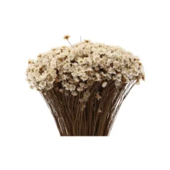 Flowerbox Trockenblumen