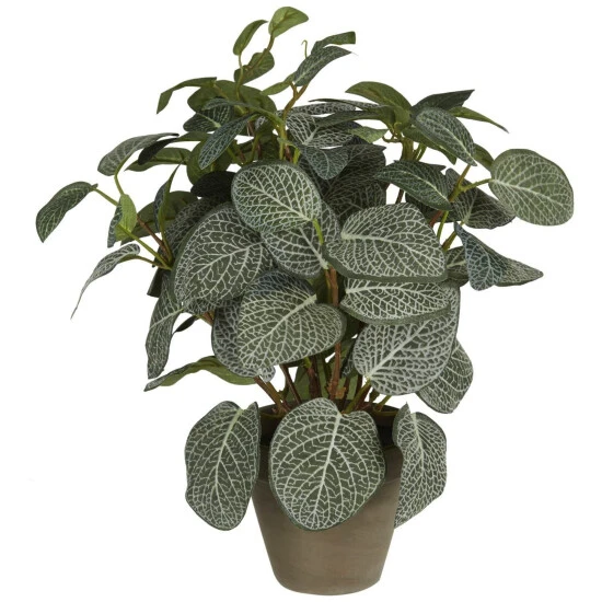 Mica® Decorations Kunstpflanze, Pilea, Grün 3 Mica® Decorations Kunstpflanze, Pilea, Grün