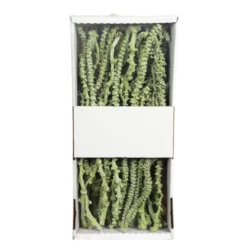 Flowerbox Trockenblumen