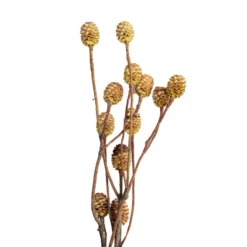 Flowerbox Trockenblumen