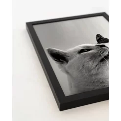 ANY IMAGE Digitaldruck »Hübsche Katze«, Rahmen: Buchenholz, Schwarz -Wohnen Wohndeko Verkäufe unnamed file 2055