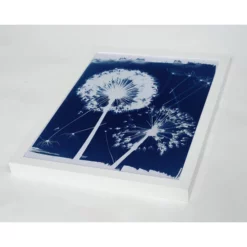 ANY IMAGE Digitaldruck »Löwenzahn«, Rahmen: Buchenholz, Weiß -Wohnen Wohndeko Verkäufe unnamed file 2080