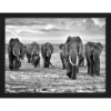 ANY IMAGE Digitaldruck »Elefanten«, Rahmen: Buchenholz, Schwarz
