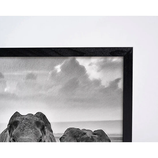 ANY IMAGE Digitaldruck »Elefanten«, Rahmen: Buchenholz, Schwarz 5 ANY IMAGE Digitaldruck »Elefanten«, Rahmen: Buchenholz, Schwarz – Bild 3