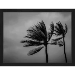 ANY IMAGE Digitaldruck »Palmen II«, Rahmen: Buchenholz, Schwarz