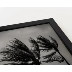 ANY IMAGE Digitaldruck »Palmen II«, Rahmen: Buchenholz, Schwarz -Wohnen Wohndeko Verkäufe unnamed file 2143