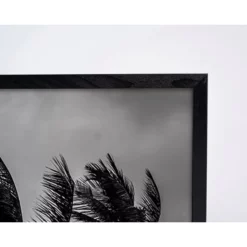 ANY IMAGE Digitaldruck »Palmen II«, Rahmen: Buchenholz, Schwarz -Wohnen Wohndeko Verkäufe unnamed file 2144