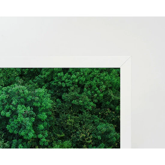 ANY IMAGE Digitaldruck »Vogelperspektive«, Rahmen: Buchenholz, Weiß 5 ANY IMAGE Digitaldruck »Vogelperspektive«, Rahmen: Buchenholz, Weiß – Bild 3