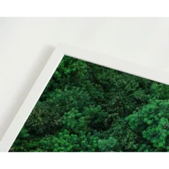 ANY IMAGE Digitaldruck »Vogelperspektive«, Rahmen: Buchenholz, Weiß 9 ANY IMAGE Digitaldruck »Vogelperspektive«, Rahmen: Buchenholz, Weiß -Wohnen Wohndeko Verkäufe unnamed file 2164