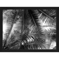 ANY IMAGE Digitaldruck »Palmblätter«, Rahmen: Buchenholz, Schwarz