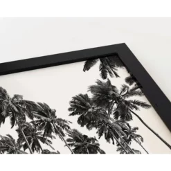 ANY IMAGE Digitaldruck »Kokospalmen«, Rahmen: Buchenholz, Schwarz -Wohnen Wohndeko Verkäufe unnamed file 2259