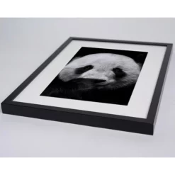 ANY IMAGE Digitaldruck »Pandabär«, Rahmen: Buchenholz, Schwarz -Wohnen Wohndeko Verkäufe unnamed file 2274