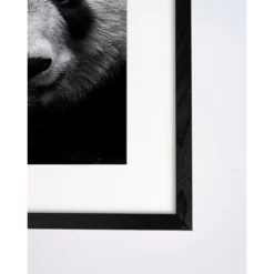 ANY IMAGE Digitaldruck »Pandabär«, Rahmen: Buchenholz, Schwarz -Wohnen Wohndeko Verkäufe unnamed file 2275