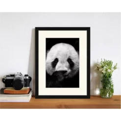 ANY IMAGE Digitaldruck »Pandabär«, Rahmen: Buchenholz, Schwarz -Wohnen Wohndeko Verkäufe unnamed file 2276
