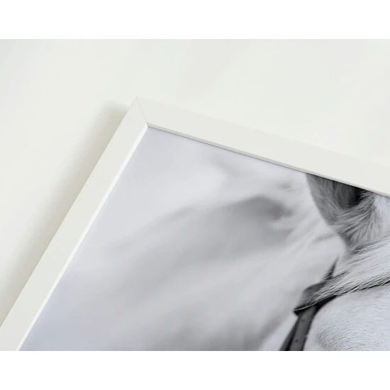 ANY IMAGE Digitaldruck »Pferd«, Rahmen: Buchenholz, Weiß 5 ANY IMAGE Digitaldruck »Pferd«, Rahmen: Buchenholz, Weiß – Bild 3