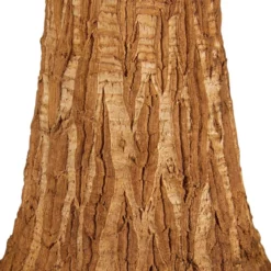 Gartenkrone Elefantenfuss, Beaucarnea Recurvata, Im Kunststoff-Kulturtopf -Wohnen Wohndeko Verkäufe unnamed file 23