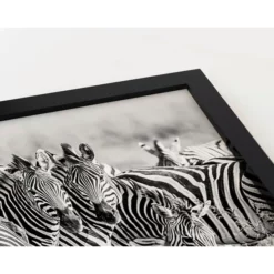 ANY IMAGE Digitaldruck »Zebras«, Rahmen: Buchenholz, Schwarz -Wohnen Wohndeko Verkäufe unnamed file 2354