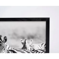ANY IMAGE Digitaldruck »Zebras«, Rahmen: Buchenholz, Schwarz -Wohnen Wohndeko Verkäufe unnamed file 2355