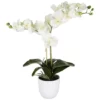 Mica® Decorations Kunstblume, Phalaenopsis Orchidee, Creme 2 Mica® Decorations Kunstblume, Phalaenopsis Orchidee, Creme -Wohnen Wohndeko Verkäufe unnamed file 248