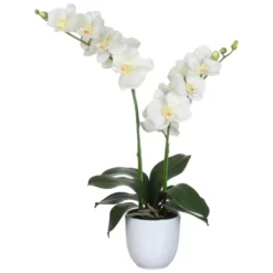 Mica® Decorations Kunstblume, Phalaenopsis Orchidee, Creme -Wohnen Wohndeko Verkäufe unnamed file 249