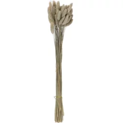 Flowerbox Trockenblumen »Phalaris«