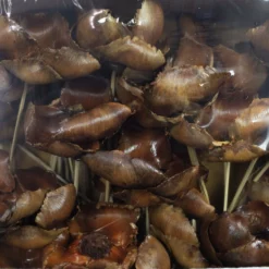 Flowerbox Trockenblumen »Palmblüte« -Wohnen Wohndeko Verkäufe unnamed file 2508