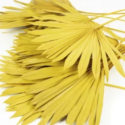 Flowerbox Trockenblumen »Palmsun« -Wohnen Wohndeko Verkäufe unnamed file 2538