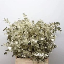 Flowerbox Trockenblumen, Bund Eucalyptus, Cinerea Metal Gold, 70 Cm