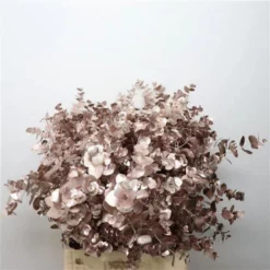 Flowerbox Trockenblumen, Bund Eucalyptus, Cinerea Metal Champagne, 70 Cm