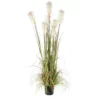 Mica® Decorations Kunstpflanze, Federgras Foxtail, Weiss/grün -Wohnen Wohndeko Verkäufe unnamed file 259