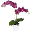 Mica® Decorations Kunstblume, Phalaenopsis Orchidee, Violett 1 Mica® Decorations Kunstblume, Phalaenopsis Orchidee, Violett -Wohnen Wohndeko Verkäufe unnamed file 260