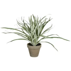 Mica® Decorations Kunstpflanze, Dracaena, Grün/weiss